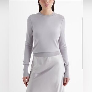 NWT Express Silky Soft Fitted Crew Neck Sweater